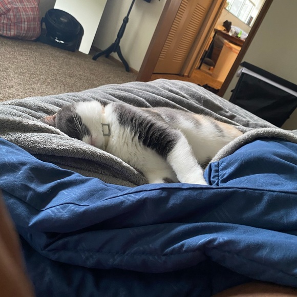 🎉🥳 SUPPORT SMALL BUSINESSES!!!! - Picture 5 of 5